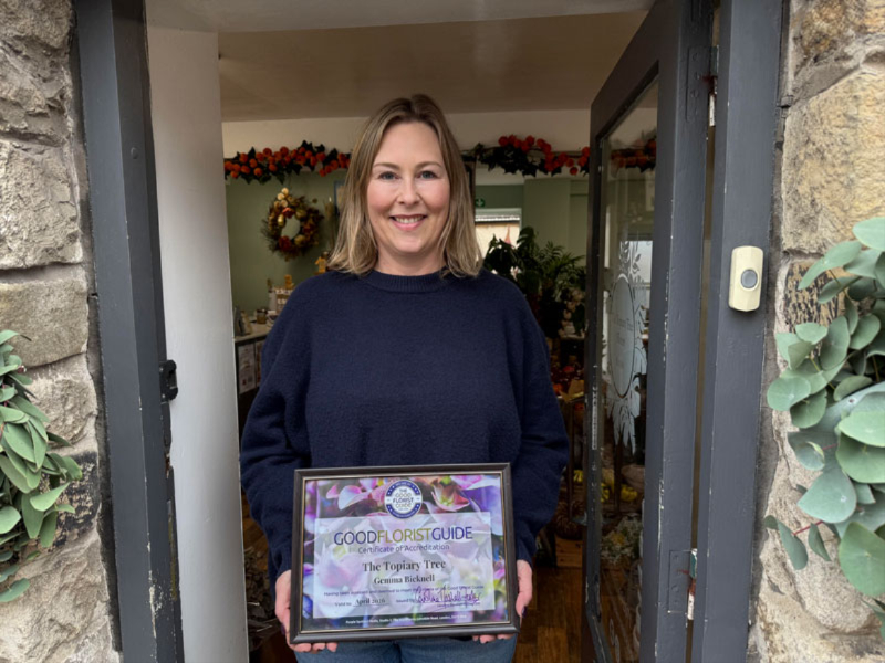 Topiary Tree florist holding certificate